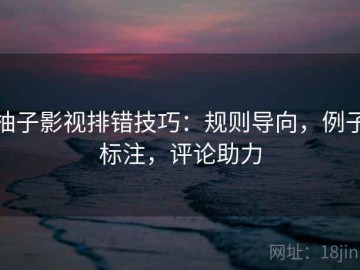 柚子影视排错技巧：规则导向，例子标注，评论助力